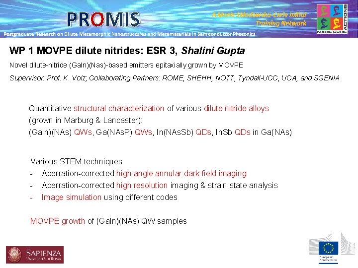 PROMIS A Marie Skłodowska-Curie Initial Training Network Postgraduate Research on Dilute Metamorphic Nanostructures and