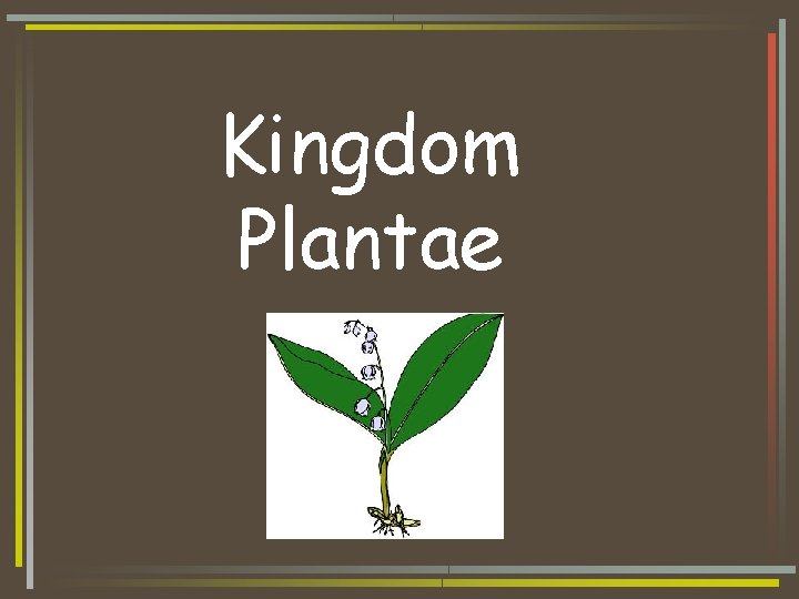 Kingdom Plantae 