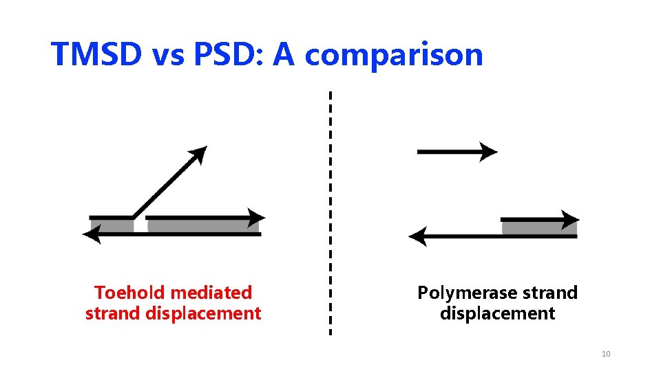 TMSD vs PSD: A comparison Toehold mediated strand displacement Polymerase strand displacement 10 TMSD vs PSD: A comparison Toehold mediated strand displacement Polymerase strand displacement 10
