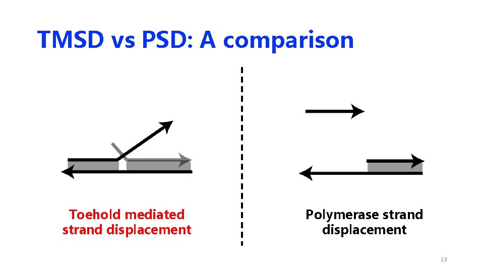 TMSD vs PSD: A comparison Toehold mediated strand displacement Polymerase strand displacement 13 TMSD vs PSD: A comparison Toehold mediated strand displacement Polymerase strand displacement 13