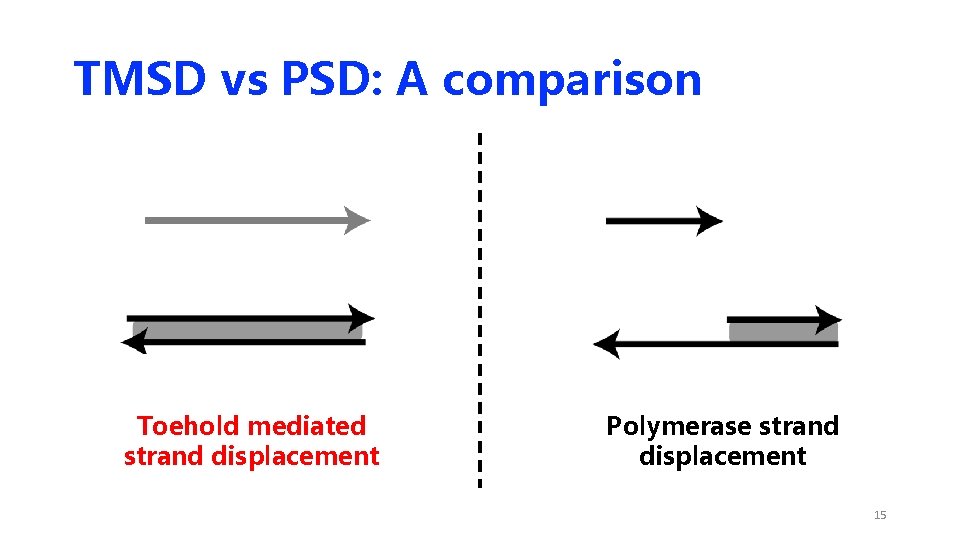 TMSD vs PSD: A comparison Toehold mediated strand displacement Polymerase strand displacement 15 TMSD vs PSD: A comparison Toehold mediated strand displacement Polymerase strand displacement 15