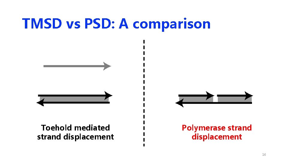TMSD vs PSD: A comparison Toehold mediated strand displacement Polymerase strand displacement 16 TMSD vs PSD: A comparison Toehold mediated strand displacement Polymerase strand displacement 16