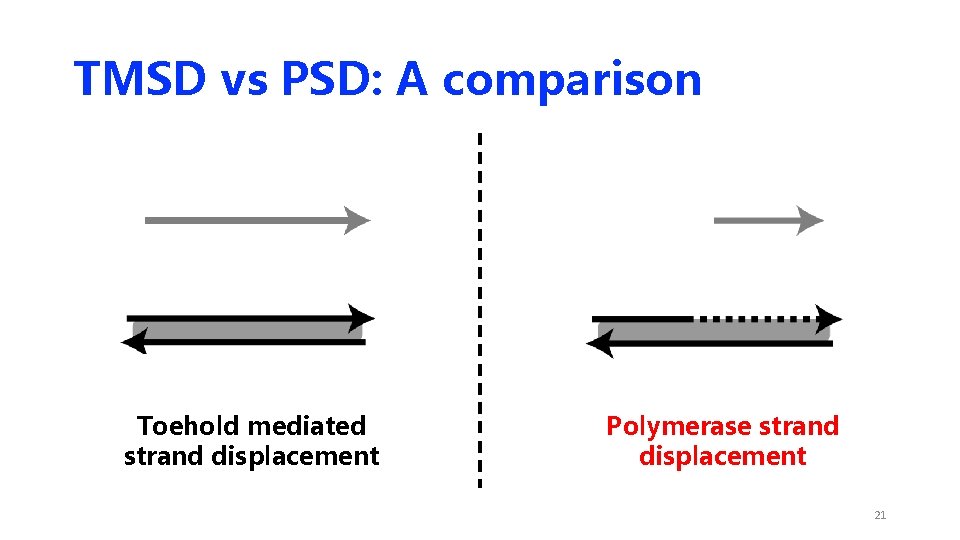 TMSD vs PSD: A comparison Toehold mediated strand displacement Polymerase strand displacement 21 TMSD vs PSD: A comparison Toehold mediated strand displacement Polymerase strand displacement 21