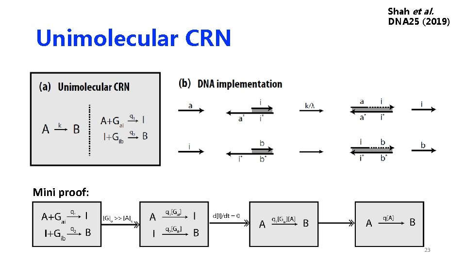 Unimolecular CRN Shah et al. DNA 25 (2019) Mini proof: 23 Unimolecular CRN Shah et al. DNA 25 (2019) Mini proof: 23