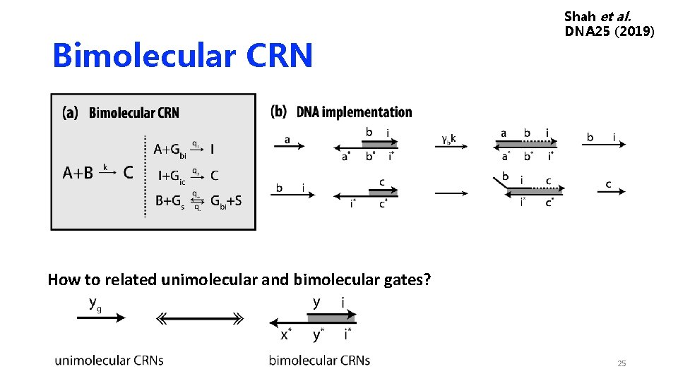 Bimolecular CRN Shah et al. DNA 25 (2019) How to related unimolecular and bimolecular Bimolecular CRN Shah et al. DNA 25 (2019) How to related unimolecular and bimolecular