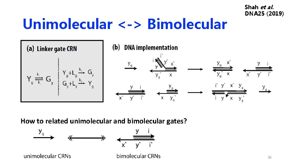 Unimolecular <-> Bimolecular Shah et al. DNA 25 (2019) How to related unimolecular and Unimolecular <-> Bimolecular Shah et al. DNA 25 (2019) How to related unimolecular and