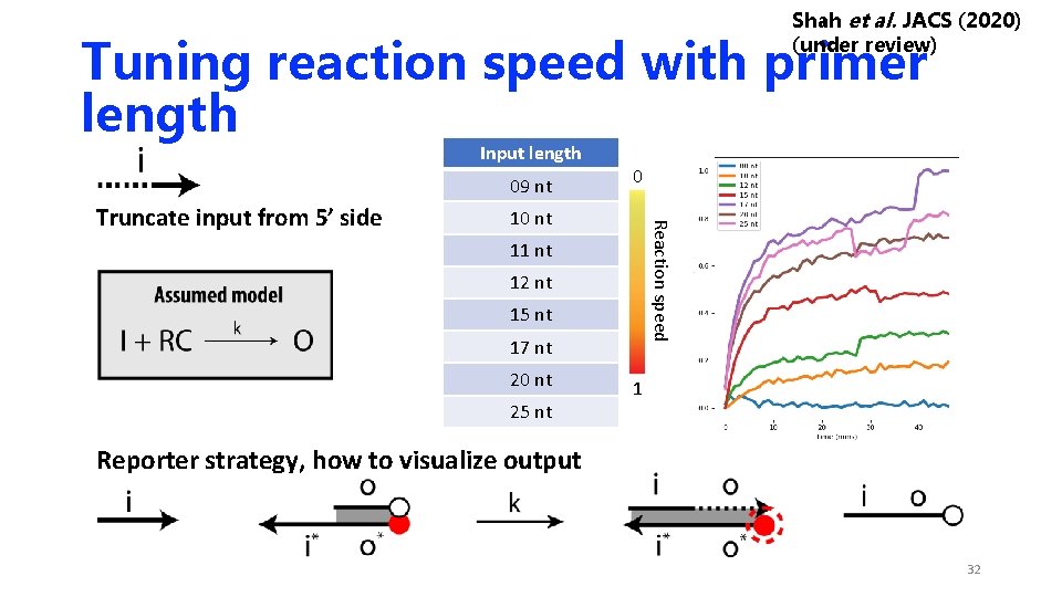 Shah et al. JACS (2020) (under review) Tuning reaction speed with primer length Input Shah et al. JACS (2020) (under review) Tuning reaction speed with primer length Input