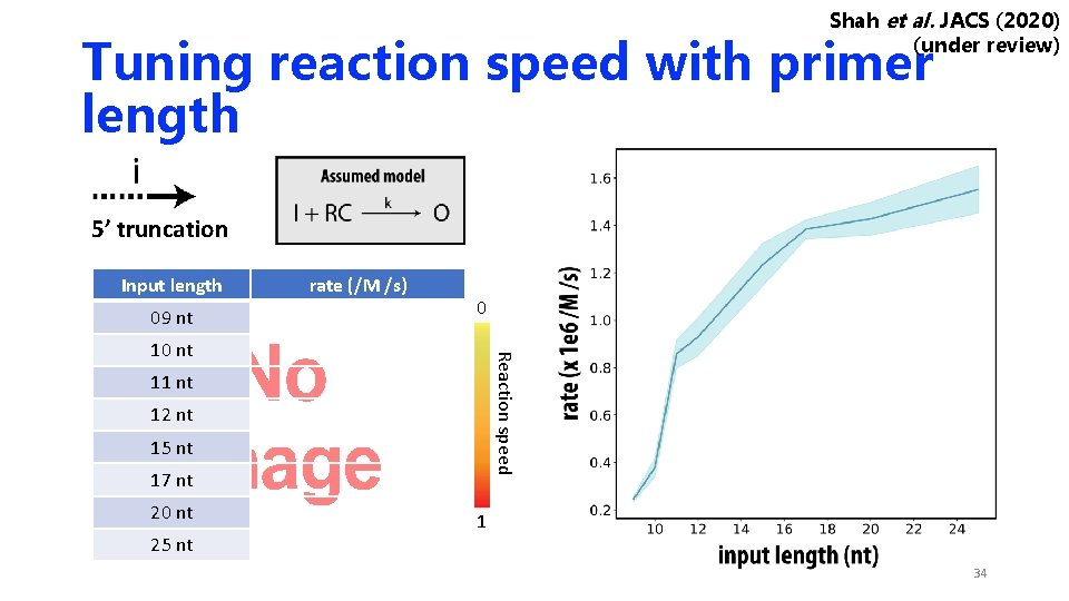 Shah et al. JACS (2020) (under review) Tuning reaction speed with primer length 5’ Shah et al. JACS (2020) (under review) Tuning reaction speed with primer length 5’