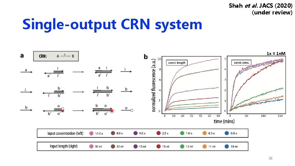 Single-output CRN system Shah et al. JACS (2020) (under review) 1 x = 1 Single-output CRN system Shah et al. JACS (2020) (under review) 1 x = 1