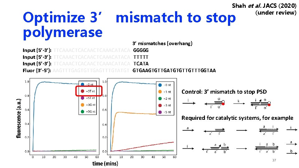 Shah et al. JACS (2020) (under review) Optimize 3’ mismatch to stop polymerase Input Shah et al. JACS (2020) (under review) Optimize 3’ mismatch to stop polymerase Input