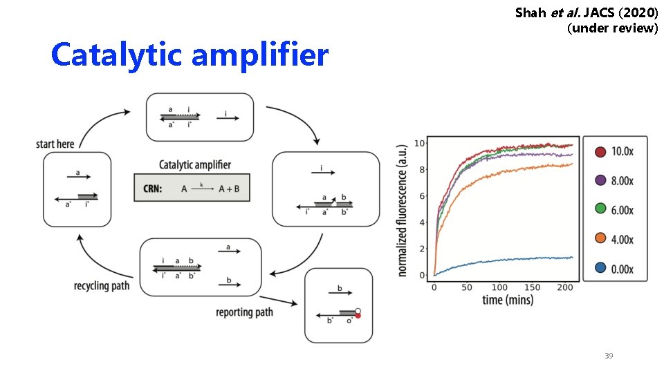 Catalytic amplifier Shah et al. JACS (2020) (under review) 39 Catalytic amplifier Shah et al. JACS (2020) (under review) 39
