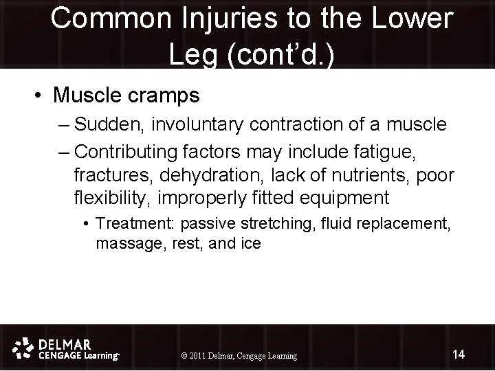 Common Injuries to the Lower Leg (cont’d. ) • Muscle cramps – Sudden, involuntary