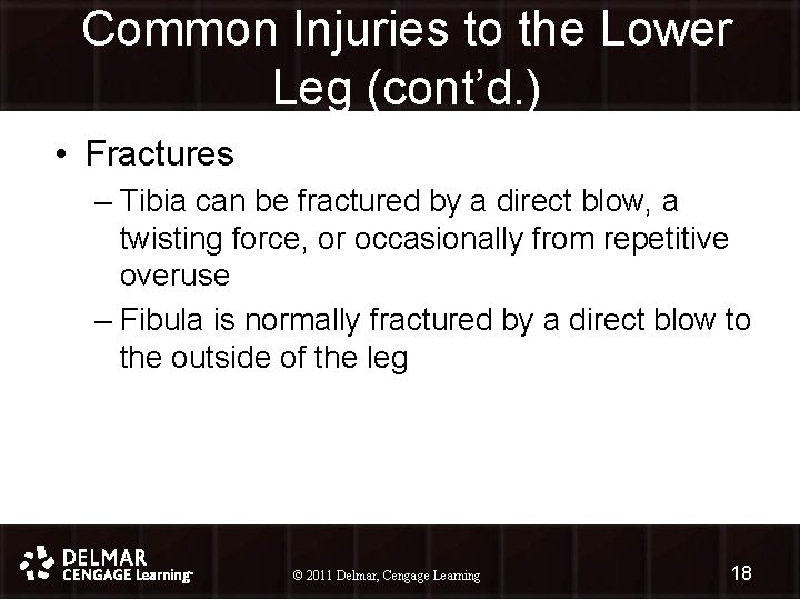 Common Injuries to the Lower Leg (cont’d. ) • Fractures – Tibia can be