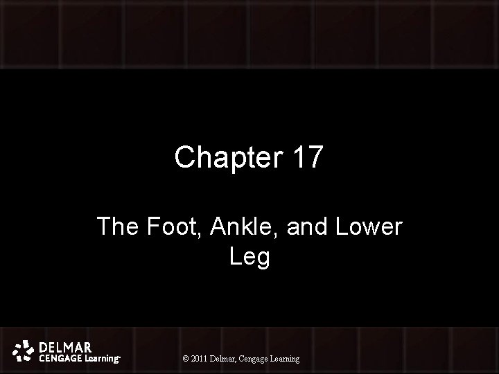 Chapter 17 The Foot, Ankle, and Lower Leg © 2011 Delmar, Cengage Learning ©