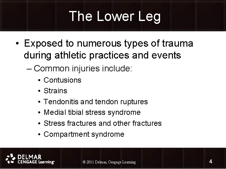 The Lower Leg • Exposed to numerous types of trauma during athletic practices and