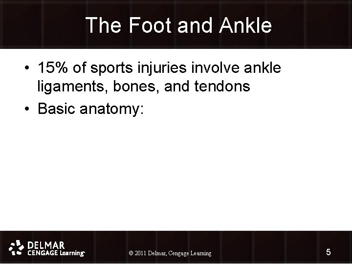 The Foot and Ankle • 15% of sports injuries involve ankle ligaments, bones, and