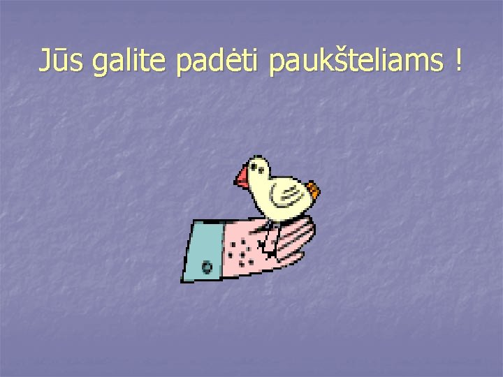 Jūs galite padėti paukšteliams ! 