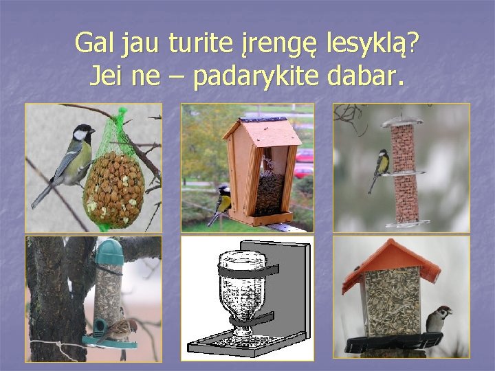 Gal jau turite įrengę lesyklą? Jei ne – padarykite dabar. 