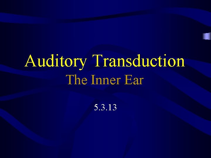 Auditory Transduction The Inner Ear 5. 3. 13 