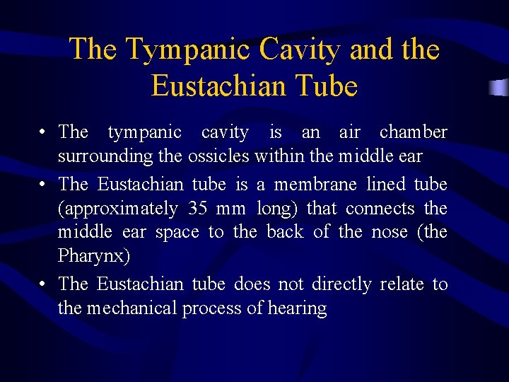 The Tympanic Cavity and the Eustachian Tube • The tympanic cavity is an air