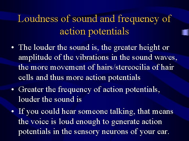 Loudness of sound and frequency of action potentials • The louder the sound is,