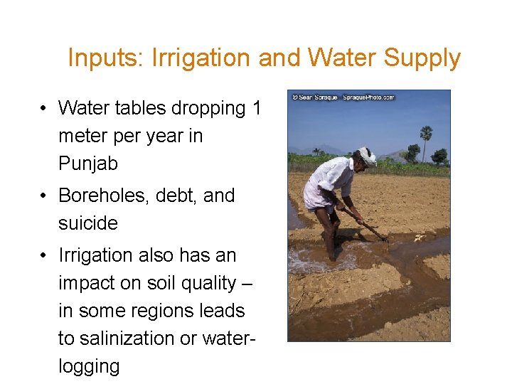 Inputs: Irrigation and Water Supply • Water tables dropping 1 meter per year in