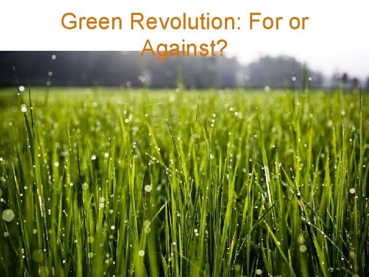 Green Revolution: For or Against? 