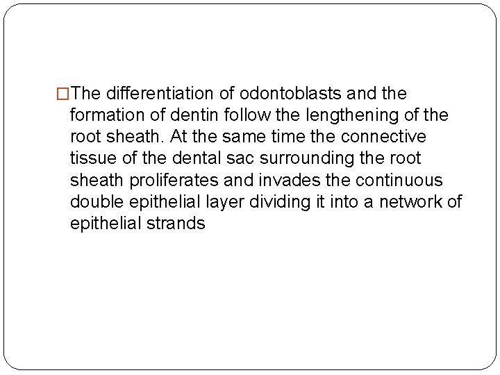 �The differentiation of odontoblasts and the formation of dentin follow the lengthening of the