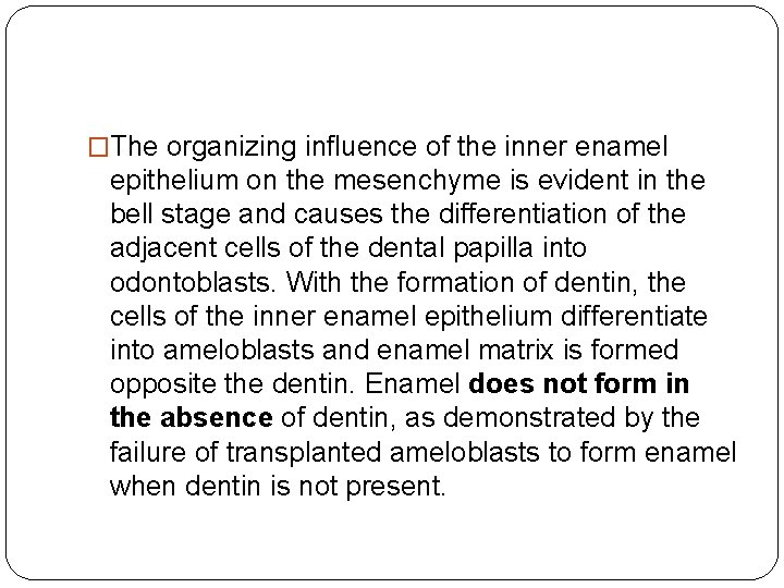 �The organizing influence of the inner enamel epithelium on the mesenchyme is evident in