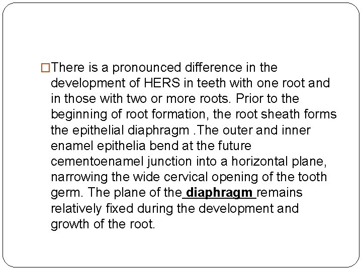 �There is a pronounced difference in the development of HERS in teeth with one