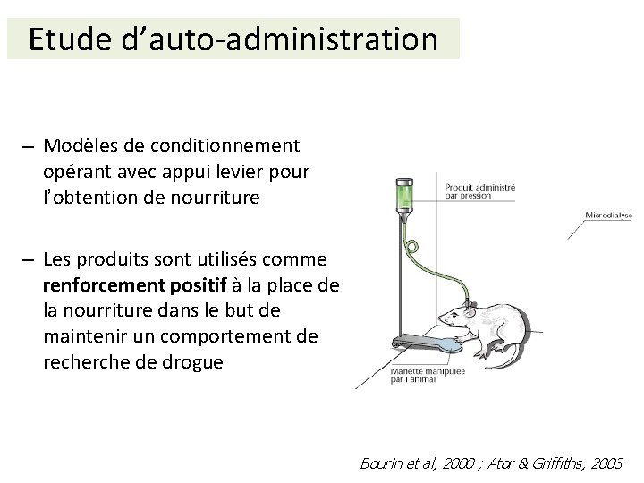 Etude d’auto-administration – Modèles de conditionnement opérant avec appui levier pour l’obtention de nourriture