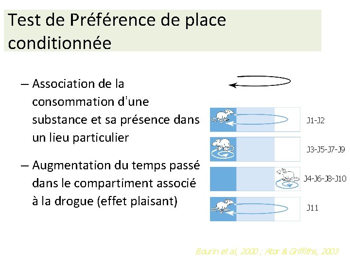 Test de Préférence de place conditionnée – Association de la consommation d’une substance et