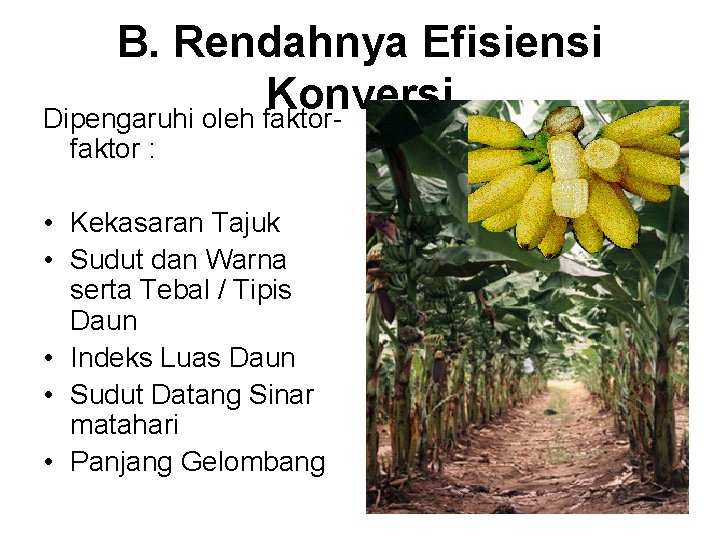 B. Rendahnya Efisiensi Konversi Dipengaruhi oleh faktor : • Kekasaran Tajuk • Sudut dan