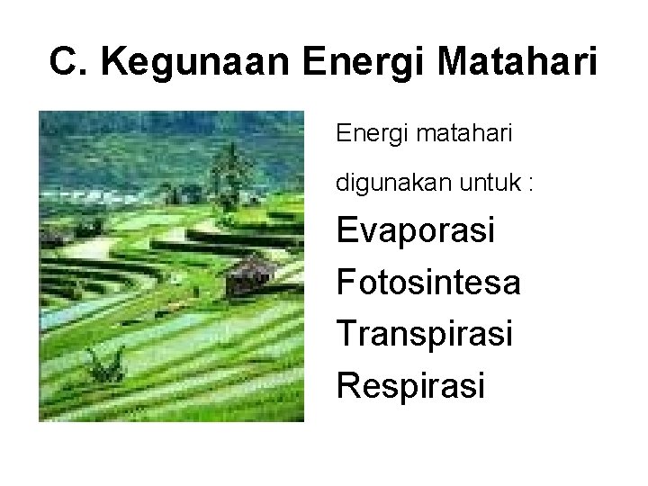 C. Kegunaan Energi Matahari Energi matahari digunakan untuk : Evaporasi Fotosintesa Transpirasi Respirasi 