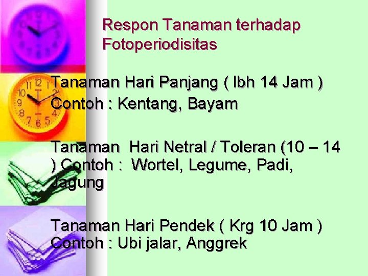 Respon Tanaman terhadap Fotoperiodisitas Tanaman Hari Panjang ( lbh 14 Jam ) Contoh :