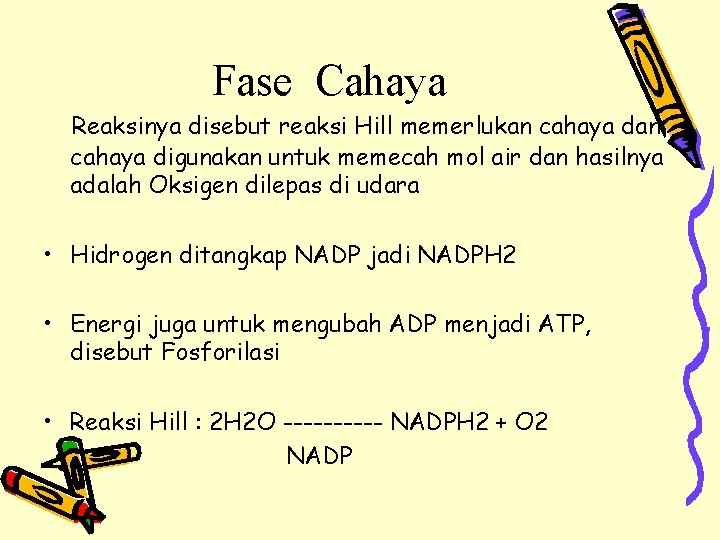 Fase Cahaya Reaksinya disebut reaksi Hill memerlukan cahaya digunakan untuk memecah mol air dan