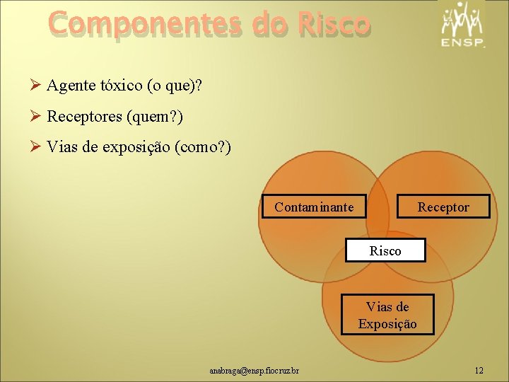 Componentes do Risco Ø Agente tóxico (o que)? Ø Receptores (quem? ) Ø Vias