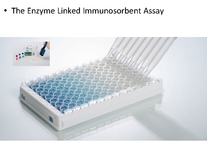  • The Enzyme Linked Immunosorbent Assay 