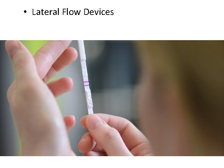  • Lateral Flow Devices 