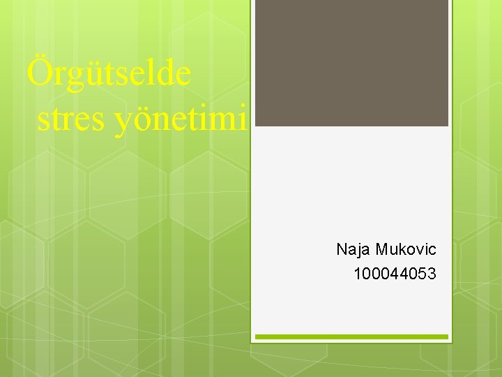 Örgütselde stres yönetimi Naja Mukovic 100044053 