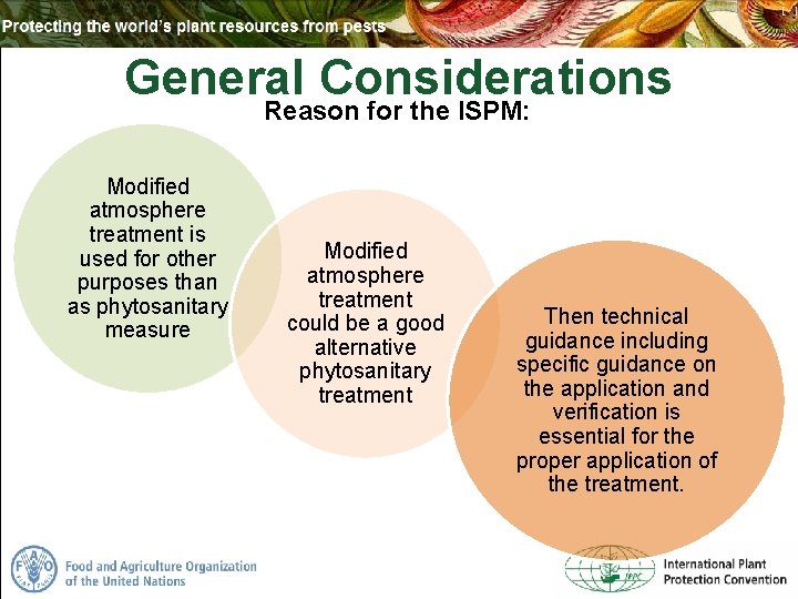 General Considerations Reason for the ISPM: Modified atmosphere treatment is used for other purposes
