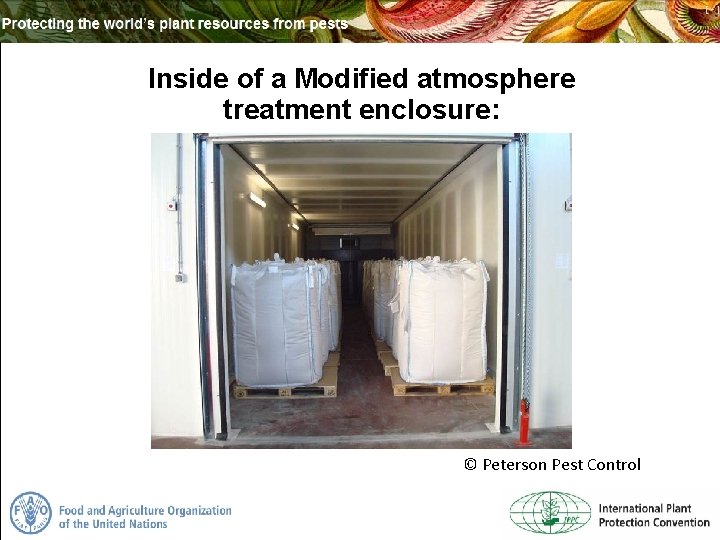 Inside of a Modified atmosphere treatment enclosure: © Peterson Pest Control 