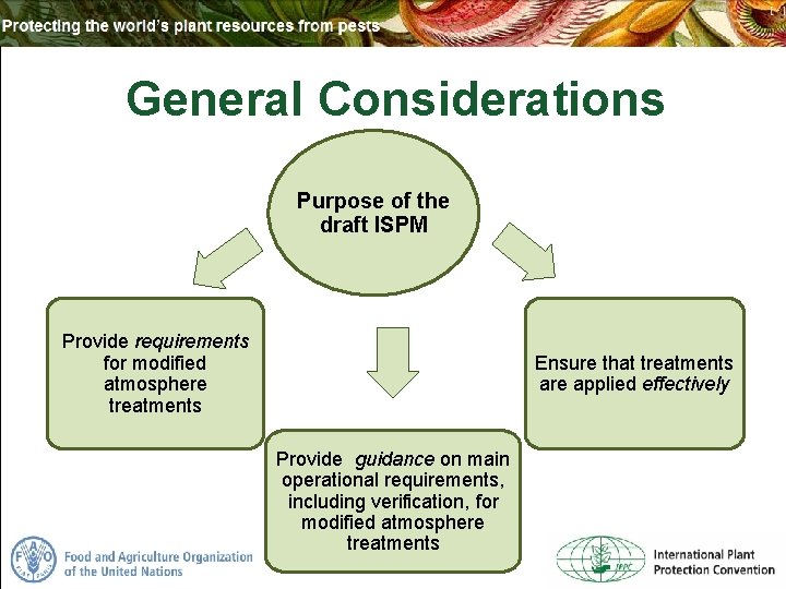 General Considerations Purpose of the draft ISPM Provide requirements for modified atmosphere treatments Ensure