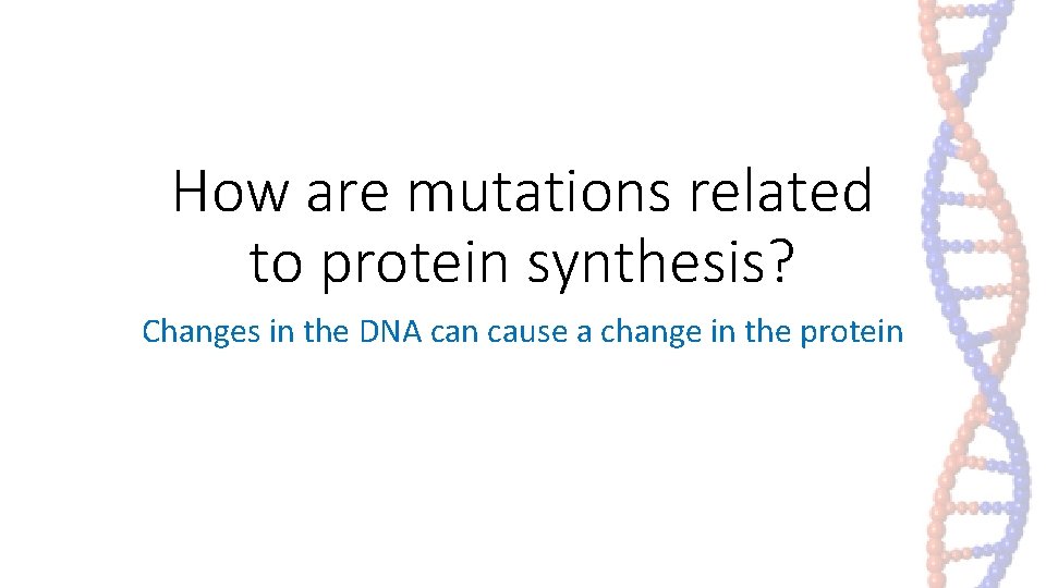 How are mutations related to protein synthesis? Changes in the DNA can cause a How are mutations related to protein synthesis? Changes in the DNA can cause a