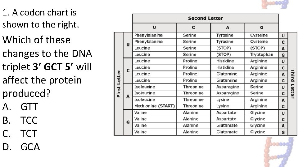 1. A codon chart is shown to the right. Which of these changes to 1. A codon chart is shown to the right. Which of these changes to