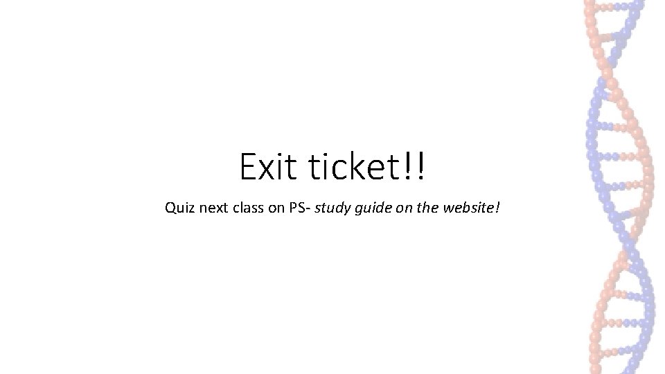 Exit ticket!! Quiz next class on PS- study guide on the website! Exit ticket!! Quiz next class on PS- study guide on the website!