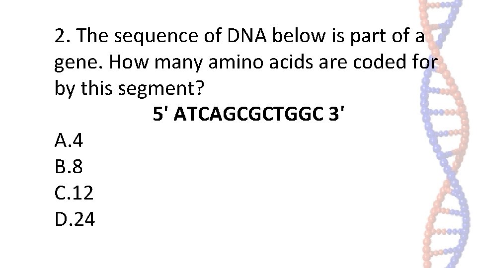 2. The sequence of DNA below is part of a gene. How many amino 2. The sequence of DNA below is part of a gene. How many amino