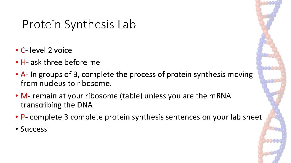 Protein Synthesis Lab • C- level 2 voice • H- ask three before me Protein Synthesis Lab • C- level 2 voice • H- ask three before me