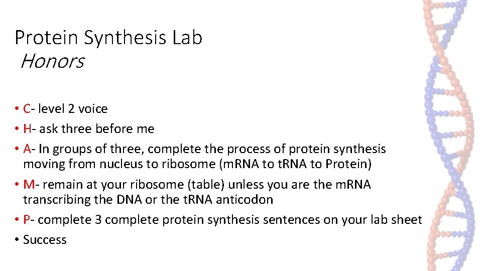 Protein Synthesis Lab Honors • C- level 2 voice • H- ask three before Protein Synthesis Lab Honors • C- level 2 voice • H- ask three before