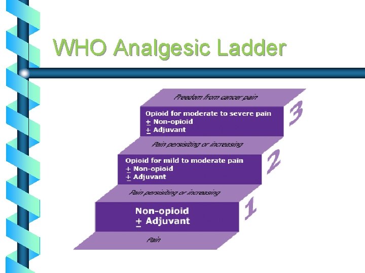 WHO Analgesic Ladder 